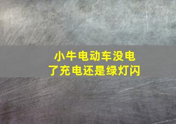 小牛电动车没电了充电还是绿灯闪