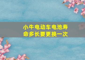 小牛电动车电池寿命多长要更换一次