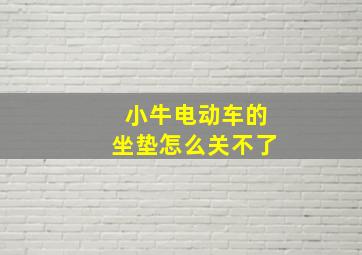 小牛电动车的坐垫怎么关不了