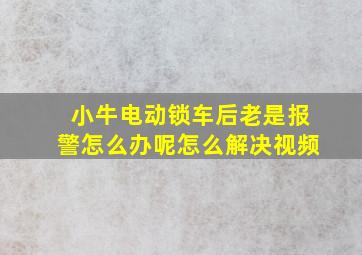 小牛电动锁车后老是报警怎么办呢怎么解决视频