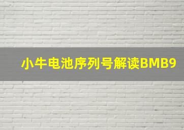 小牛电池序列号解读BMB9