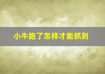 小牛跑了怎样才能抓到