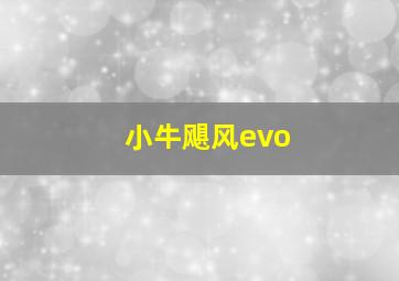 小牛飓风evo