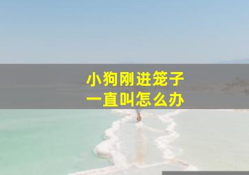 小狗刚进笼子一直叫怎么办