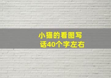 小猫的看图写话40个字左右