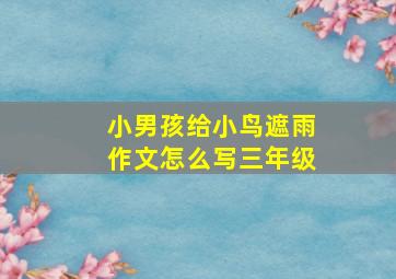 小男孩给小鸟遮雨作文怎么写三年级