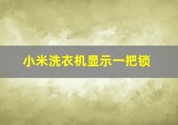 小米洗衣机显示一把锁