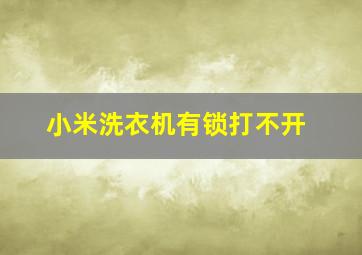 小米洗衣机有锁打不开