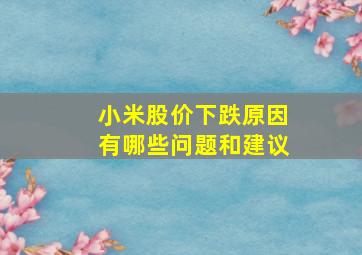 小米股价下跌原因有哪些问题和建议