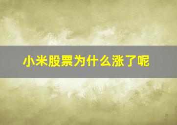 小米股票为什么涨了呢