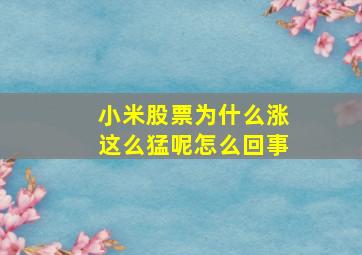 小米股票为什么涨这么猛呢怎么回事