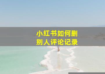 小红书如何删别人评论记录