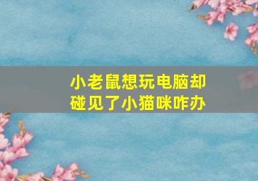 小老鼠想玩电脑却碰见了小猫咪咋办