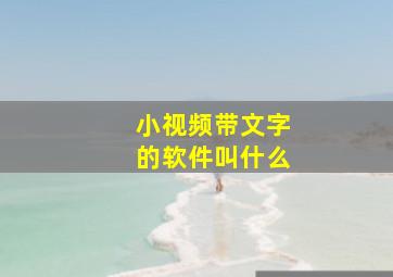 小视频带文字的软件叫什么