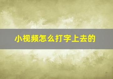 小视频怎么打字上去的