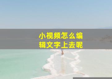 小视频怎么编辑文字上去呢