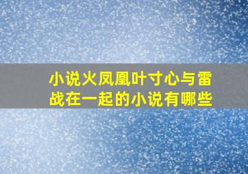 小说火凤凰叶寸心与雷战在一起的小说有哪些