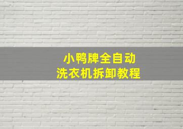 小鸭牌全自动洗衣机拆卸教程