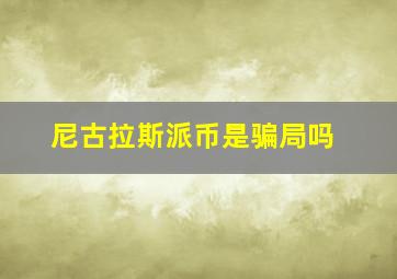 尼古拉斯派币是骗局吗