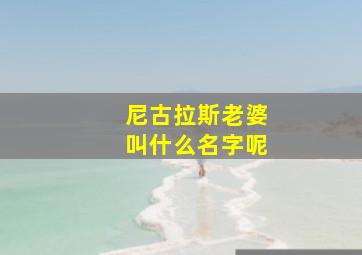 尼古拉斯老婆叫什么名字呢