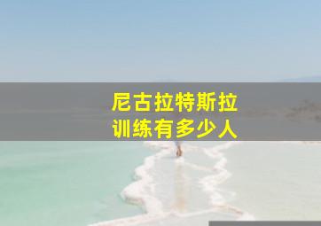 尼古拉特斯拉训练有多少人