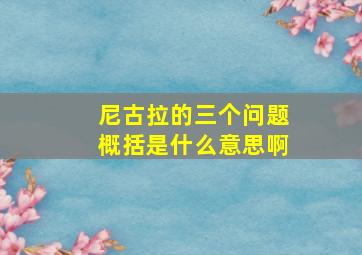 尼古拉的三个问题概括是什么意思啊