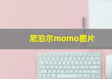 尼泊尔momo图片