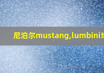 尼泊尔mustang,lumbini地图