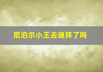 尼泊尔小王去迪拜了吗