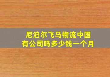 尼泊尔飞马物流中国有公司吗多少钱一个月