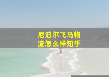 尼泊尔飞马物流怎么样知乎