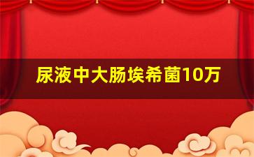 尿液中大肠埃希菌10万