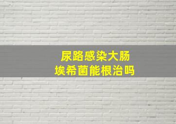 尿路感染大肠埃希菌能根治吗