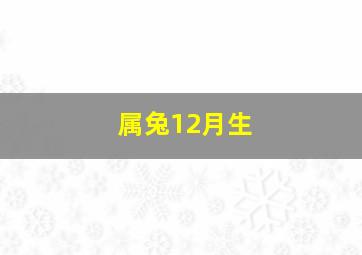 属兔12月生