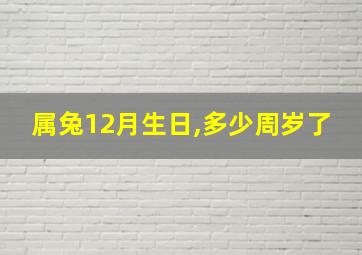 属兔12月生日,多少周岁了