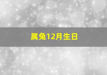 属兔12月生日