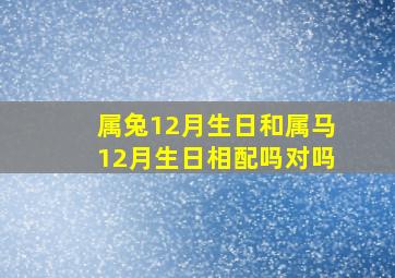 属兔12月生日和属马12月生日相配吗对吗