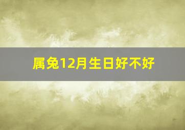 属兔12月生日好不好