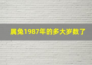 属兔1987年的多大岁数了