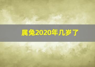 属兔2020年几岁了