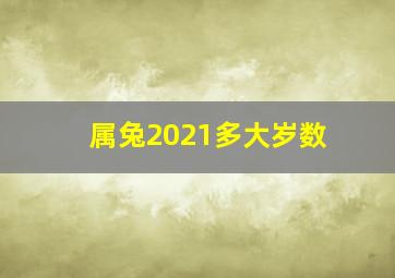 属兔2021多大岁数