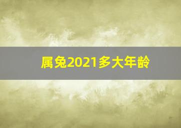 属兔2021多大年龄