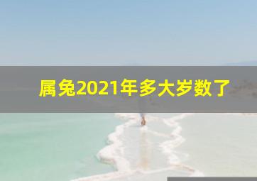 属兔2021年多大岁数了