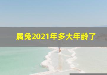 属兔2021年多大年龄了