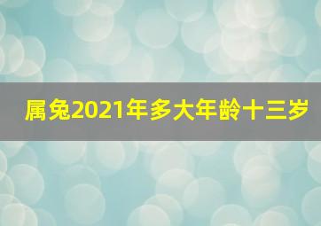 属兔2021年多大年龄十三岁