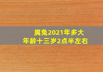 属兔2021年多大年龄十三岁2点半左右