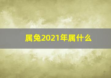 属兔2021年属什么