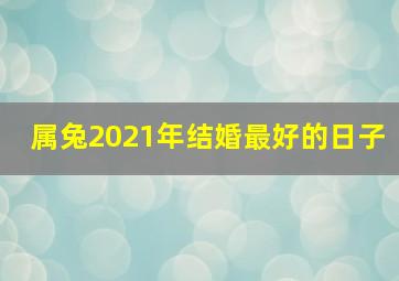 属兔2021年结婚最好的日子