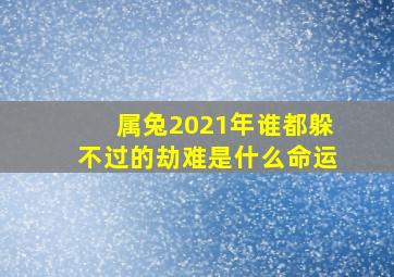 属兔2021年谁都躲不过的劫难是什么命运