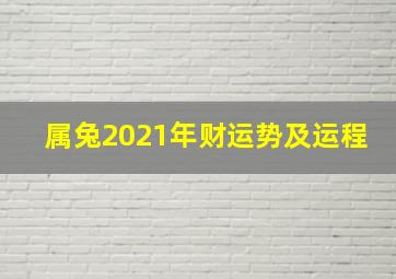 属兔2021年财运势及运程